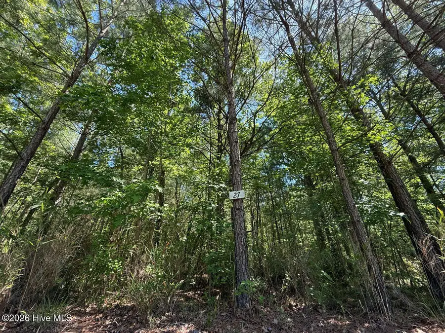 Lot 27 Sunset Point, Belhaven, NC 27810 - #2