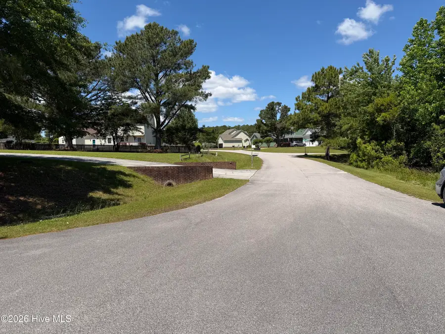 125 River Reach West Drive W, Swansboro, NC 28584 - #3