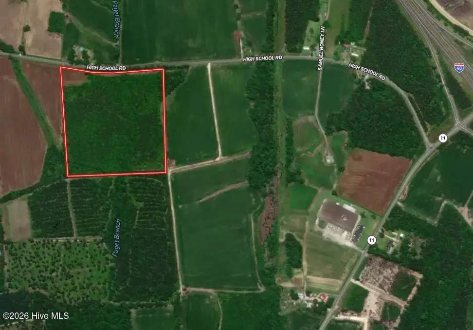 26 Acres High School Road, Teachey, NC 28464 - #1