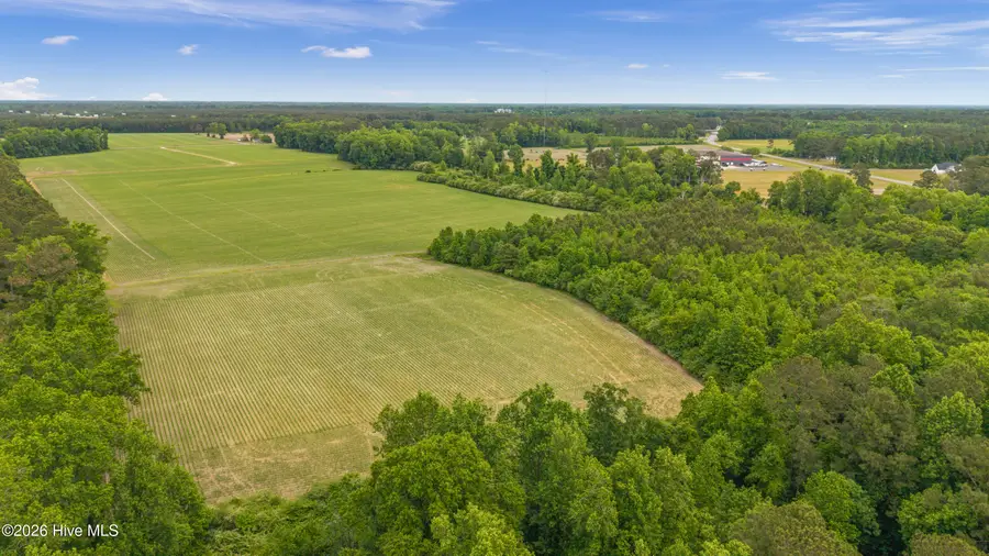 34.4 Acres High School Road, Teachey, NC 28464 - #2