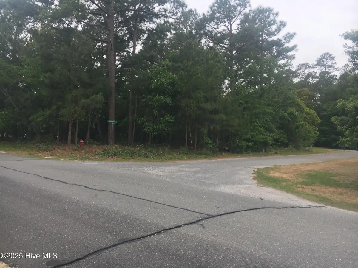 300 Crestwood Drive, Goldsboro, NC 27530 - #1