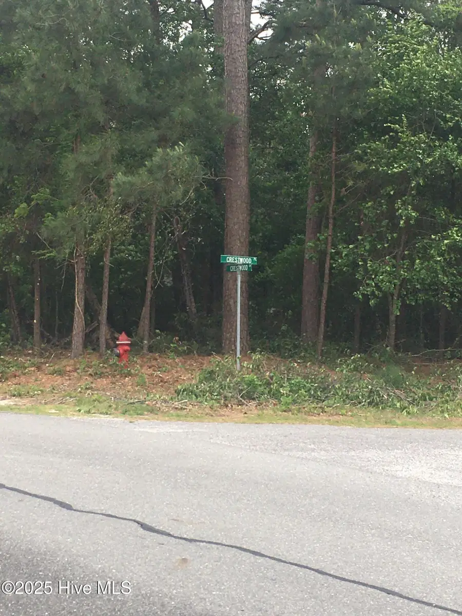 300 Crestwood Drive, Goldsboro, NC 27530 - #3