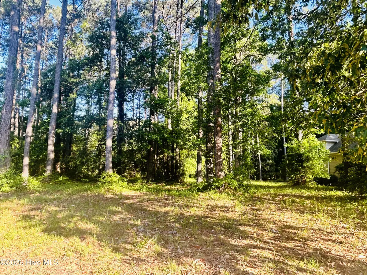 116 Magnolia Bay Lane, Wallace, NC 28466 - #1