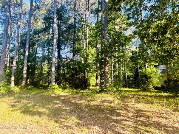 116 Magnolia Bay Lane, Wallace, NC 28466