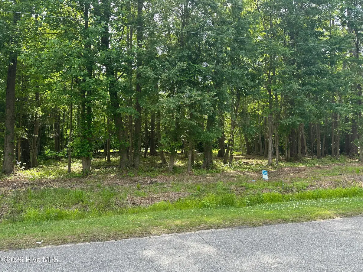 Near 628 Blue Jean Road, Whiteville, NC 28472 - #1