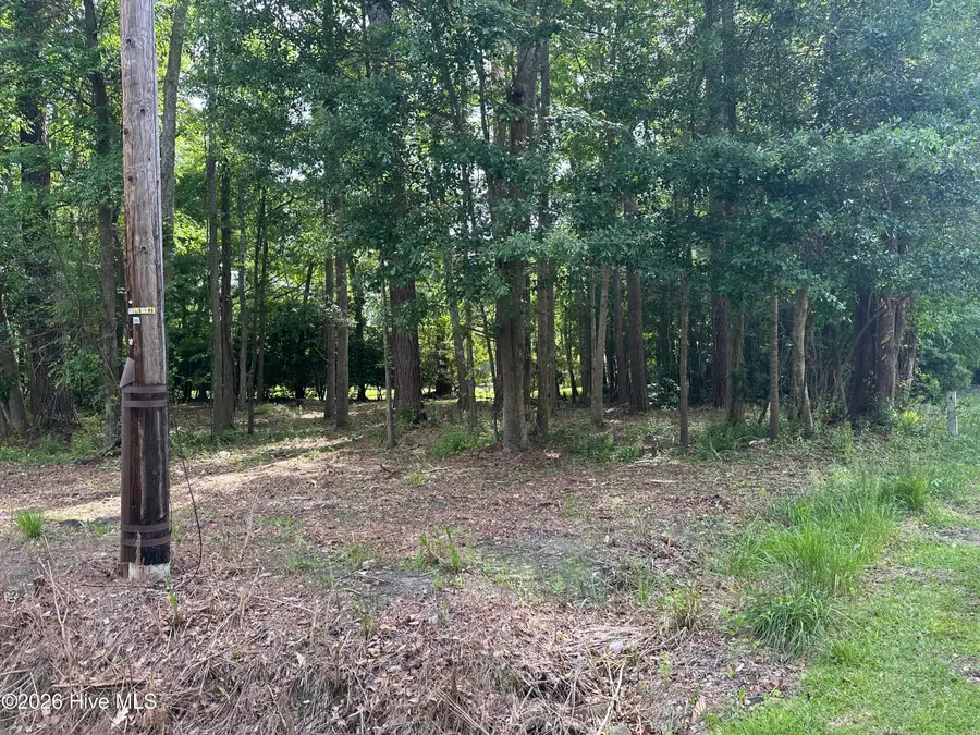 Near 628 Blue Jean Road, Whiteville, NC 28472 - #2