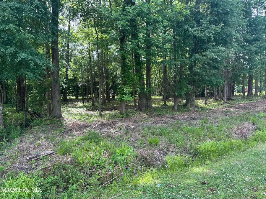 Near 628 Blue Jean Road, Whiteville, NC 28472 - #3