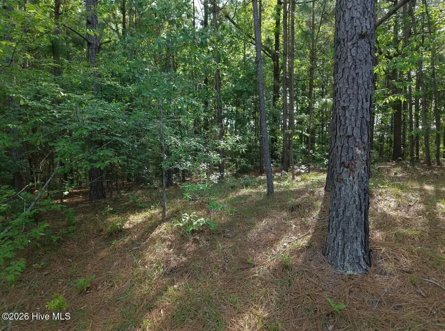 6311 Canadian Avenue, Hope Mills, NC  - #3