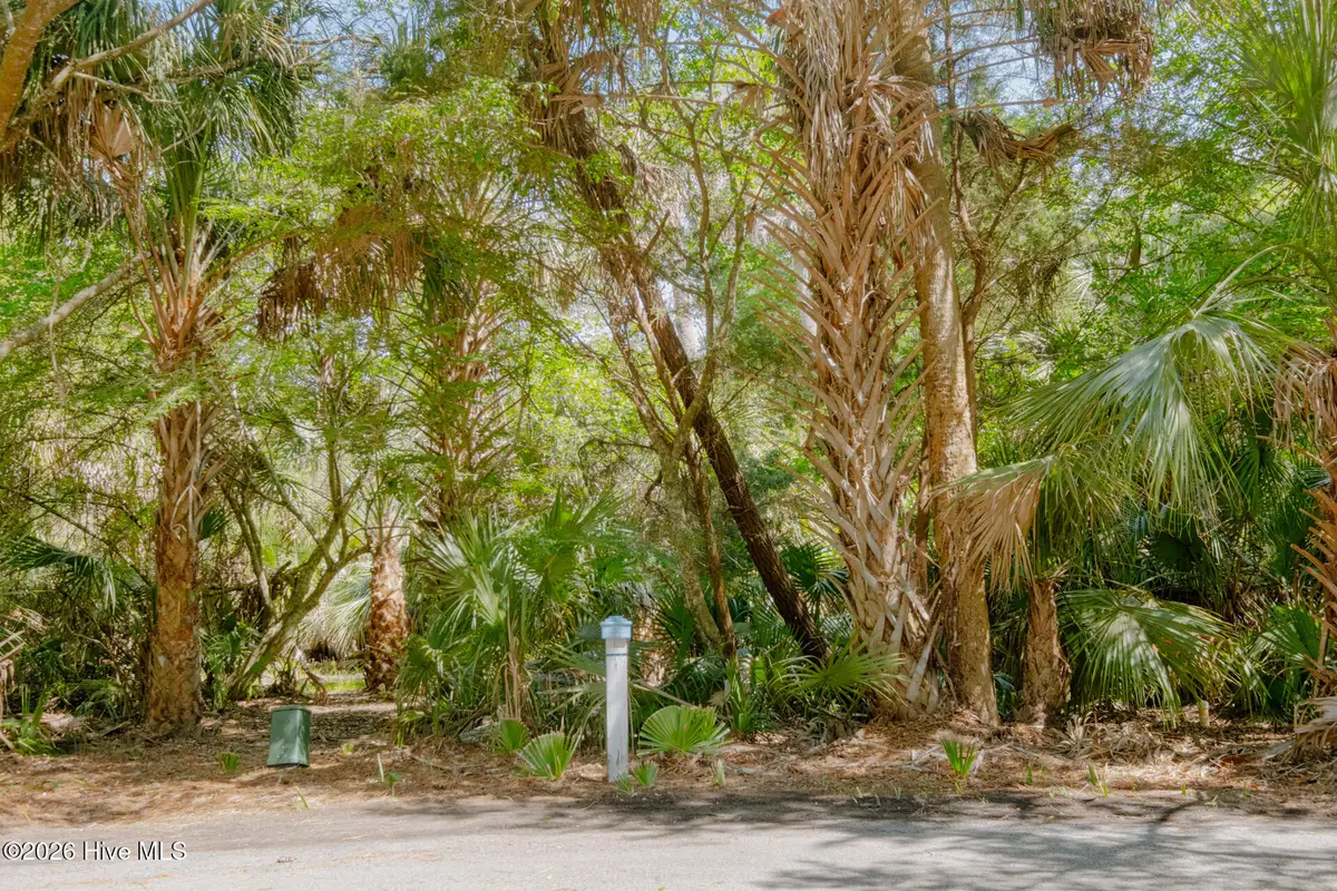 4 Gray Fox Court, Bald Head Island, NC 28461 - #1