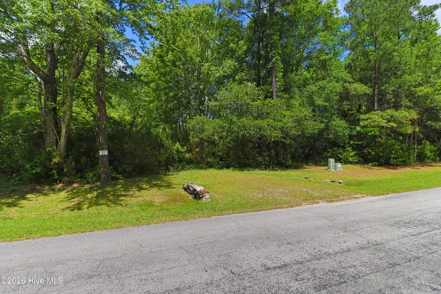 135 Herring Pond Court, Beaufort, NC 28516 - #3
