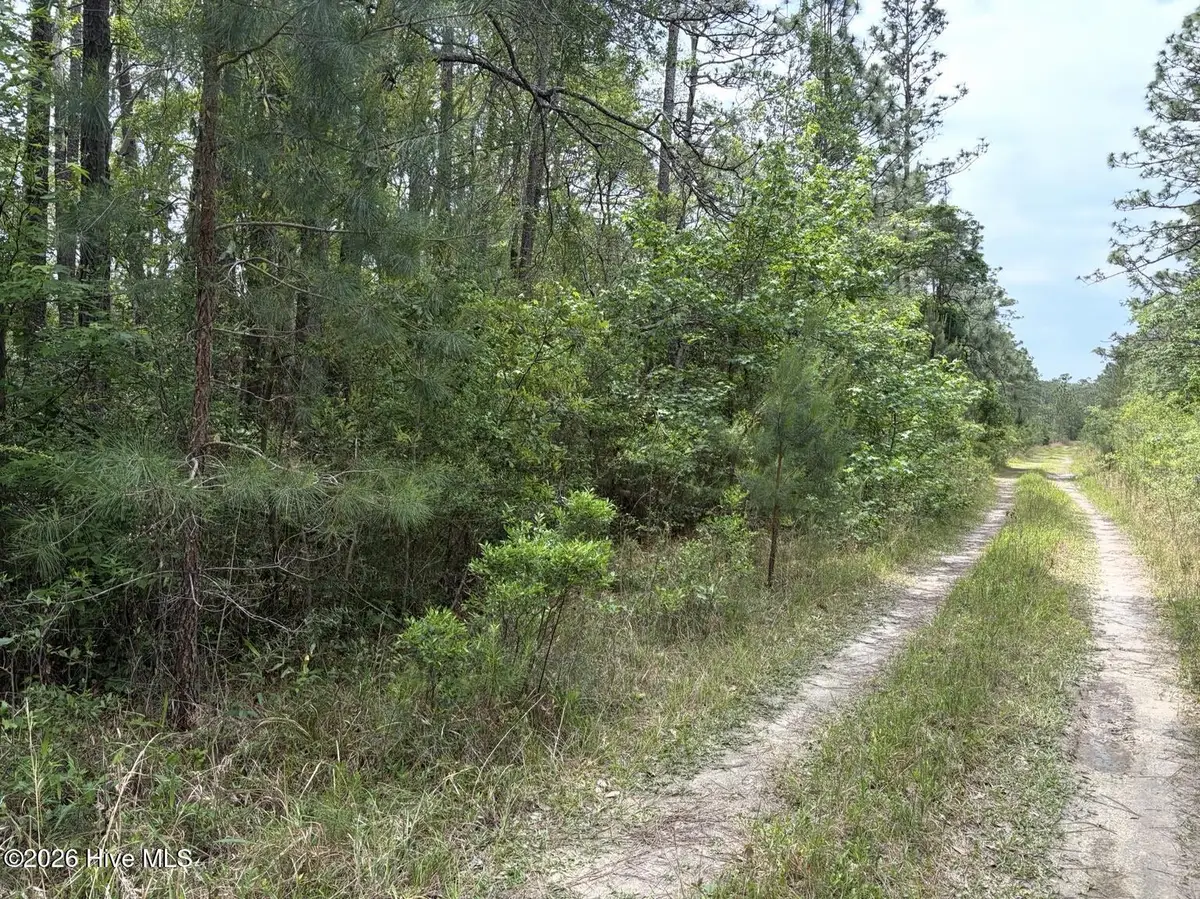 L 113 Chimney Swift Lane Se, Southport, NC 28461 - #1