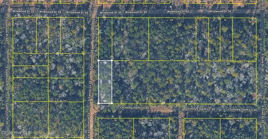 L 113 Chimney Swift Lane Se, Southport, NC 28461 - #2