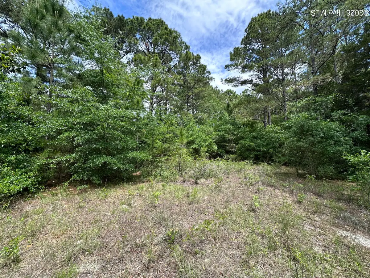 4781 Longview Drive Se, Southport, NC 28461 - #1