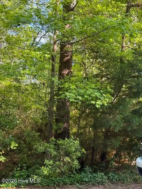 103 Emerson Court, Hampstead, NC 28443 - #1