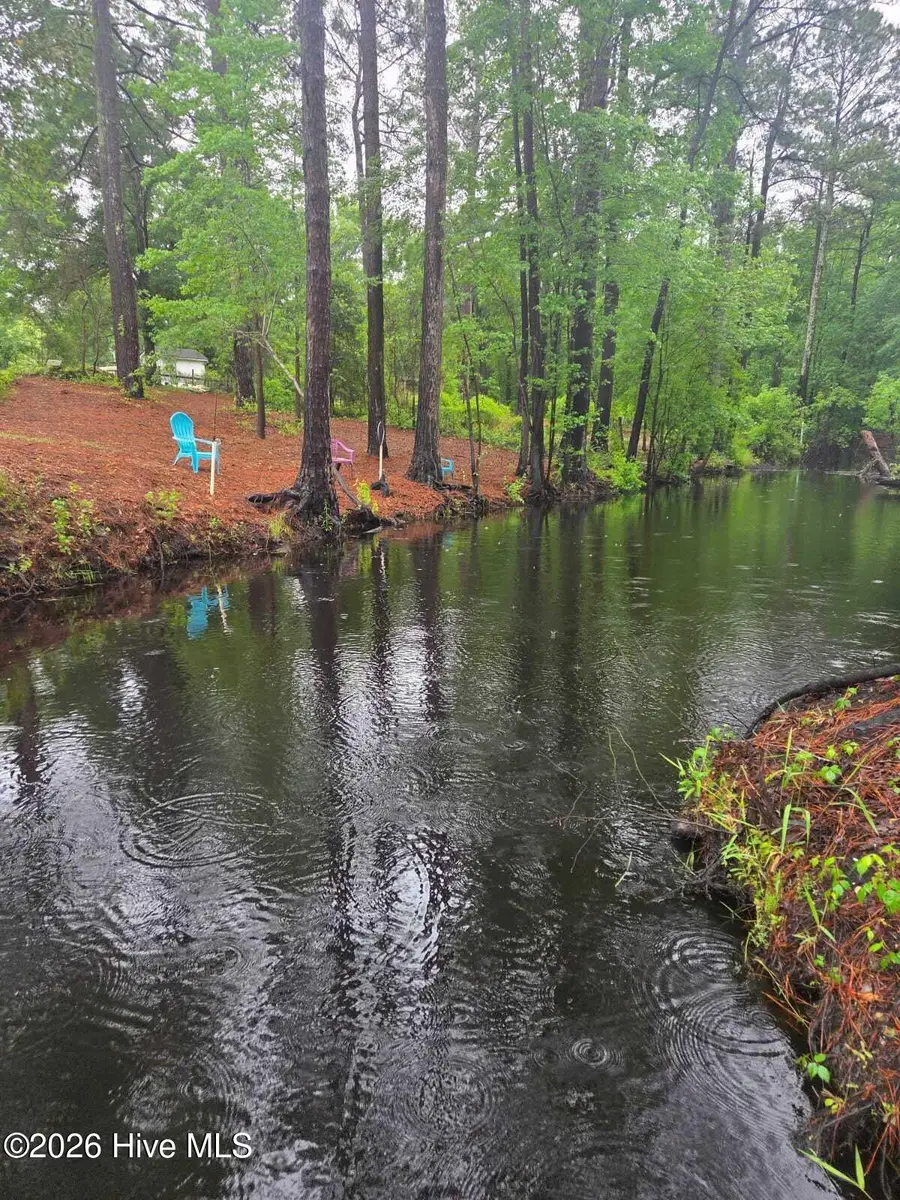 Lot 48 Juniper Lane, Currie, NC 28435 - #3