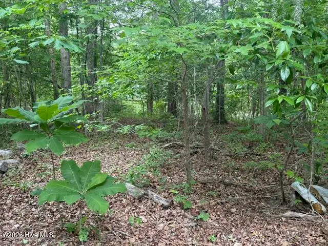 104 River Road, Blounts Creek, NC 27814 - #2