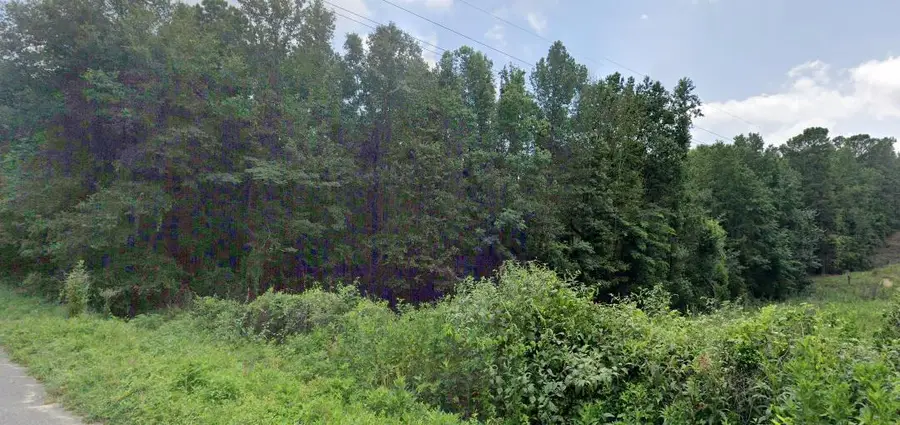 4.5a Bradleyville Road Lane, North Augusta, SC 29841 - #2