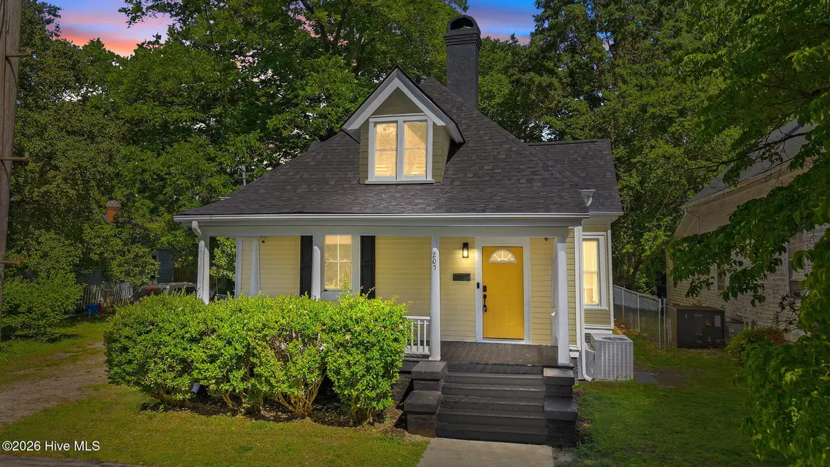 205 Hill Street Ne, Wilson, NC 27893 - #1