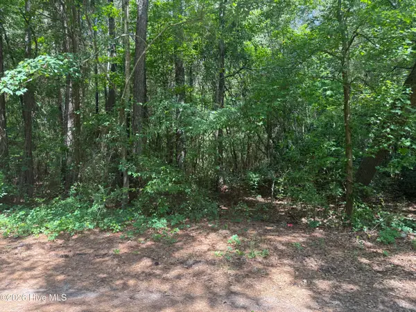 0 Herring Loop Road, Wallace, NC 28466