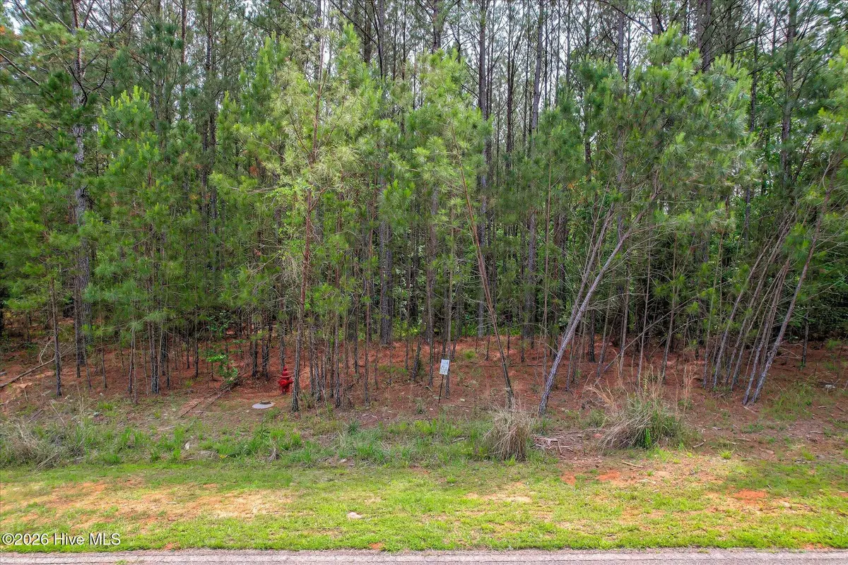 1054 Longleaf Way, Lincolnton, GA 30817 - #1