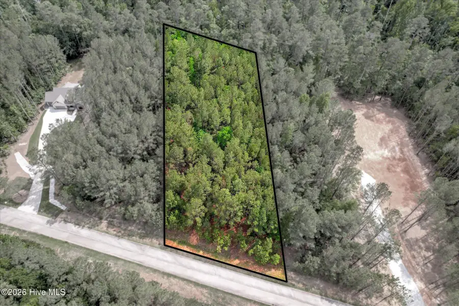 1054 Longleaf Way, Lincolnton, GA 30817 - #3
