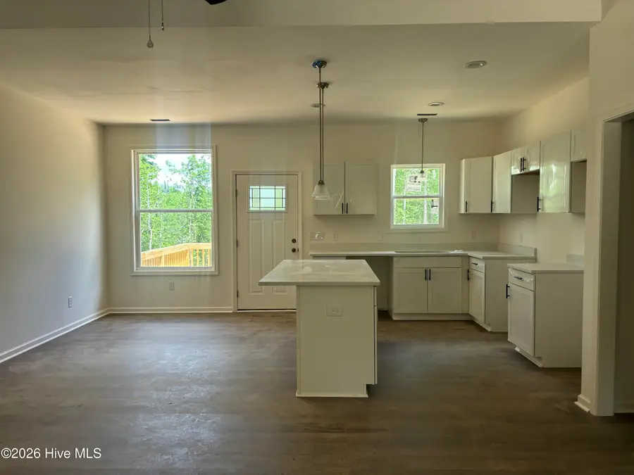 19725 Nc 43, Whitakers, NC 27891 - #2
