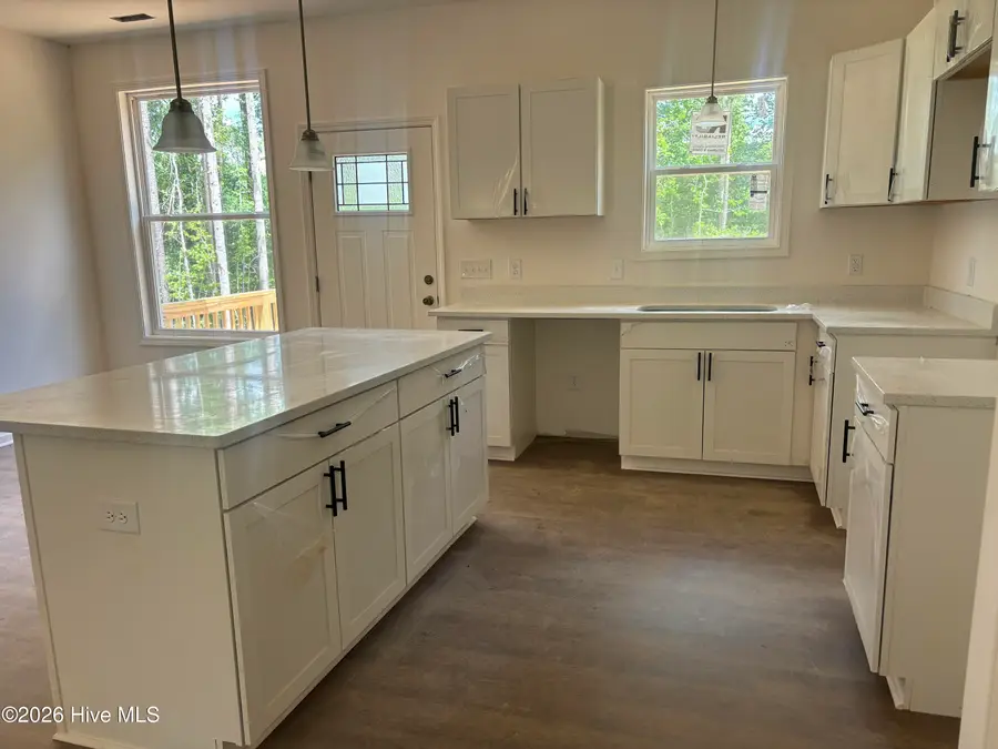 19725 Nc 43, Whitakers, NC 27891 - #3