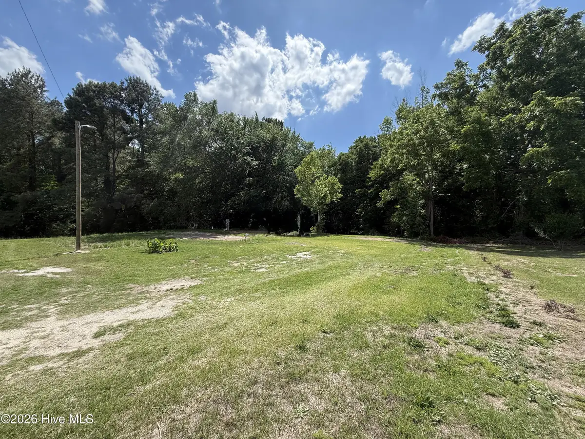 2684 Carolina Highway 111 S, Seven Springs, NC 28578 - #1