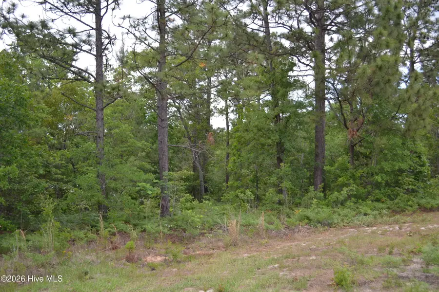00 Old Barnwell Road Road, Windsor, SC 29856 - #3