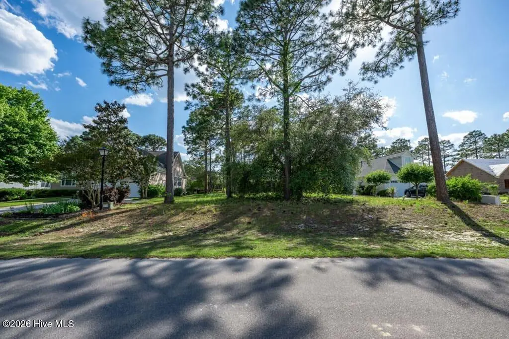 205 Planters Ridge Drive, Sunset Beach, NC 28468 - #1