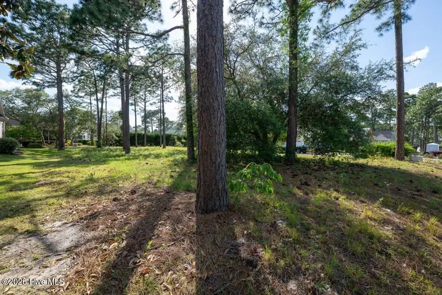 205 Planters Ridge Drive, Sunset Beach, NC 28468 - #2
