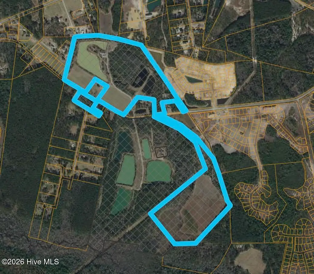 101 Acres Old Highway 90, Conway, SC 29526 - #1