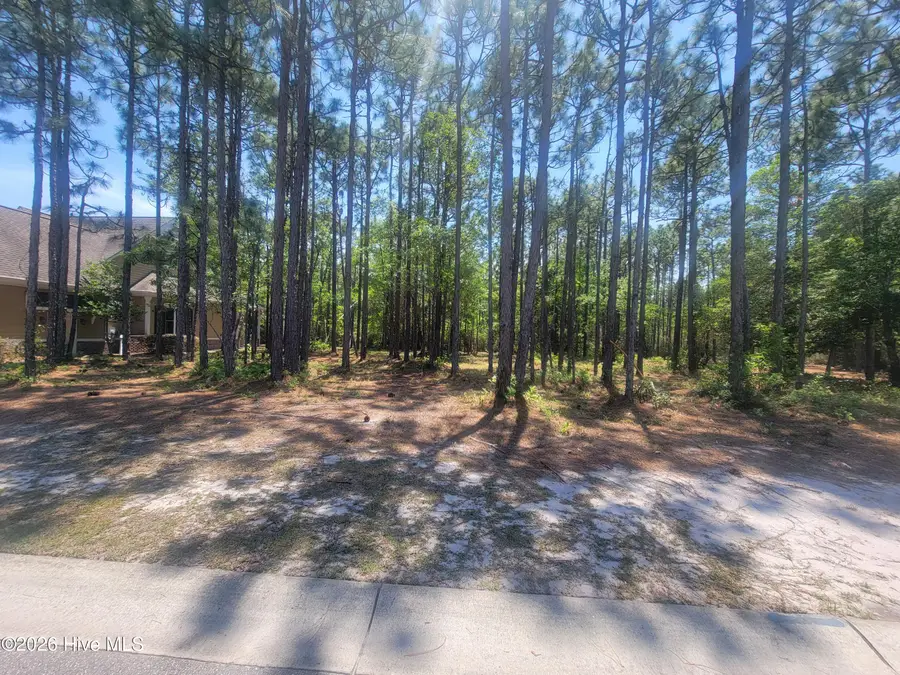 6876 Beckman Circle Sw, Ocean Isle Beach, NC 28469 - #3