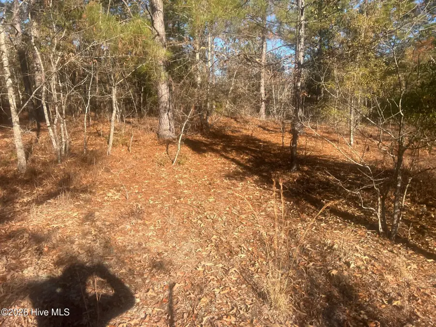 107 Golden Eagle Lane, Hephzibah, GA 30815 - #2
