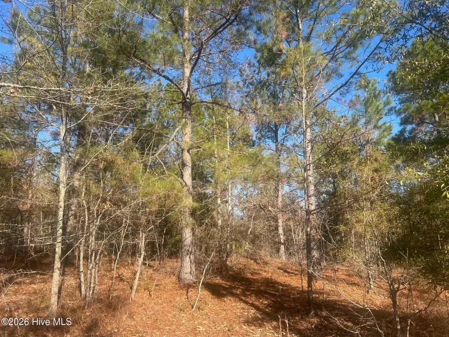 107 Golden Eagle Lane, Hephzibah, GA 30815 - #3
