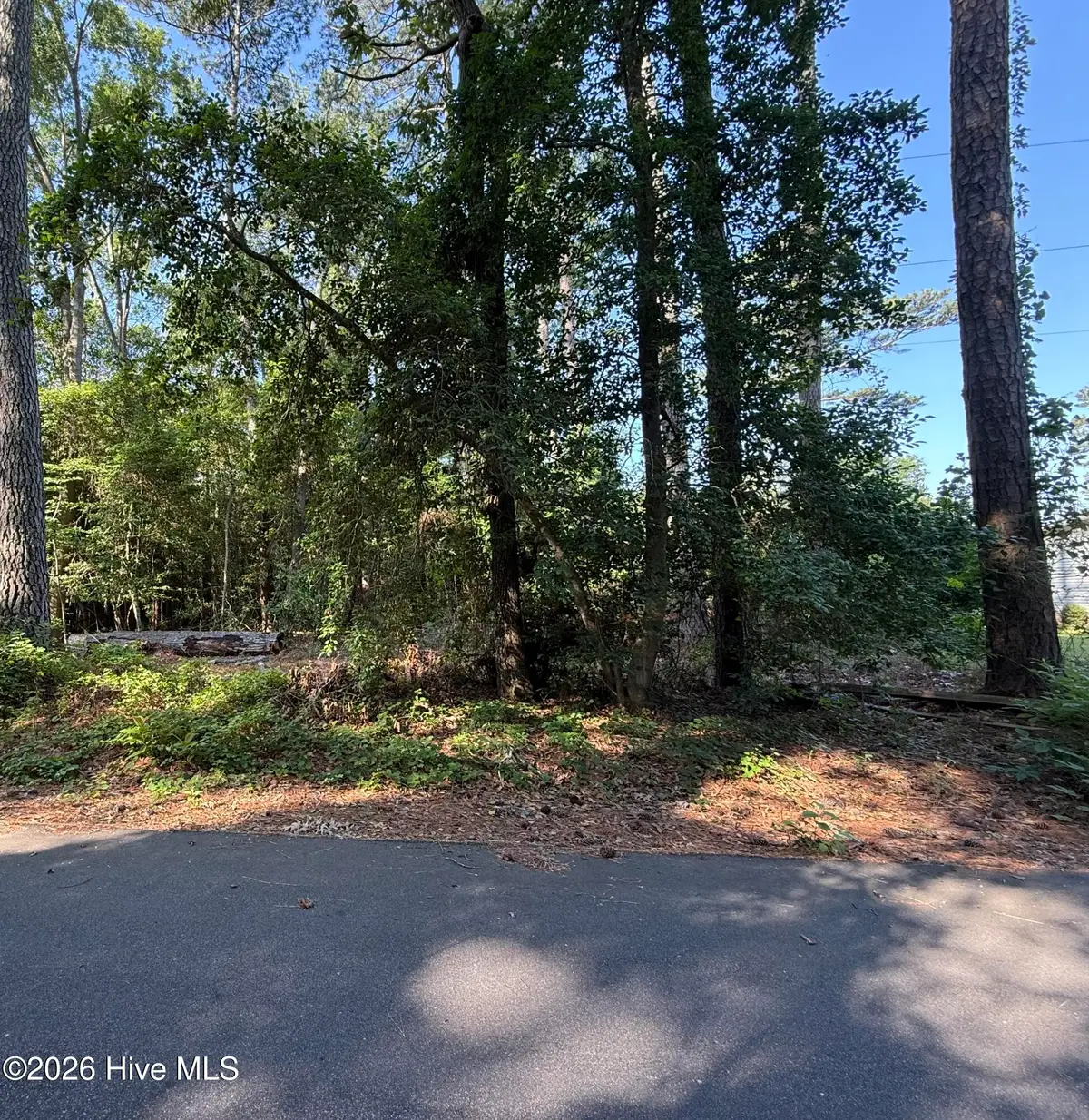 108 Cheyenne Trail, Edenton, NC 27932 - #1
