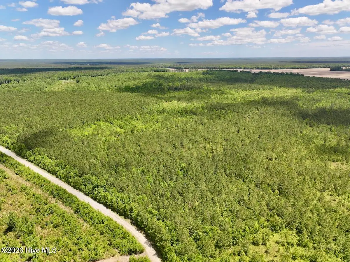 0 Guinea Mill 530 Road, Ernul, NC 28527 - #1