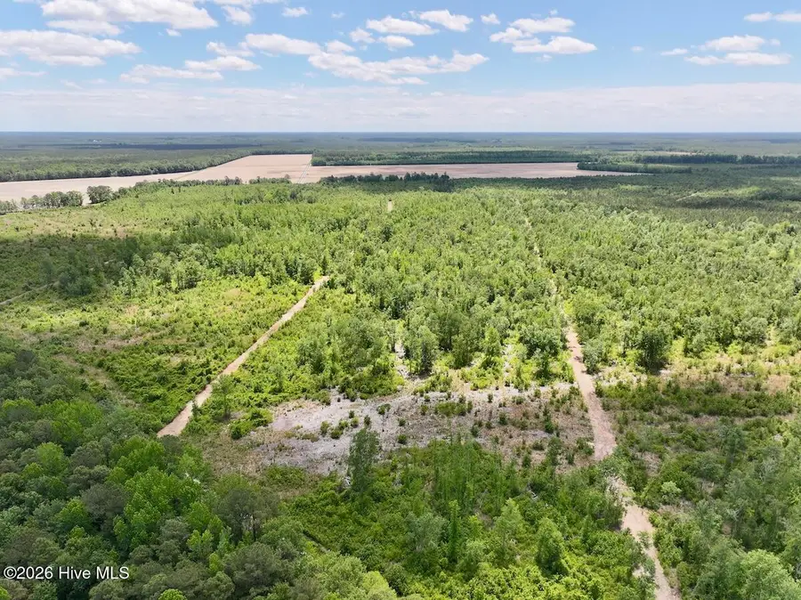 0 Guinea Mill 530 Road, Ernul, NC 28527 - #3