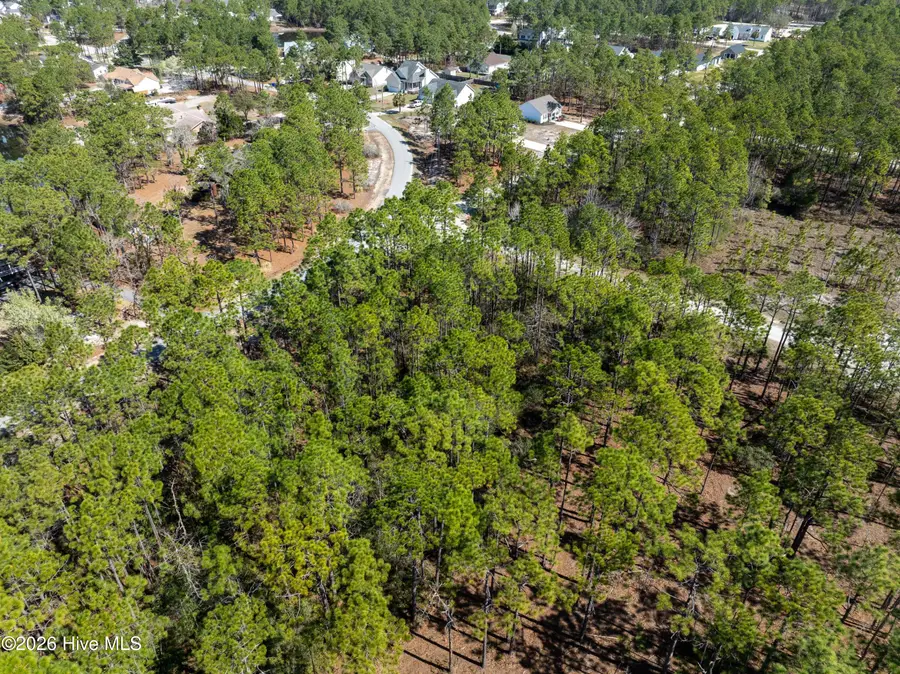 0 Monroe Road, Boiling Spring Lakes, NC 28461 - #2