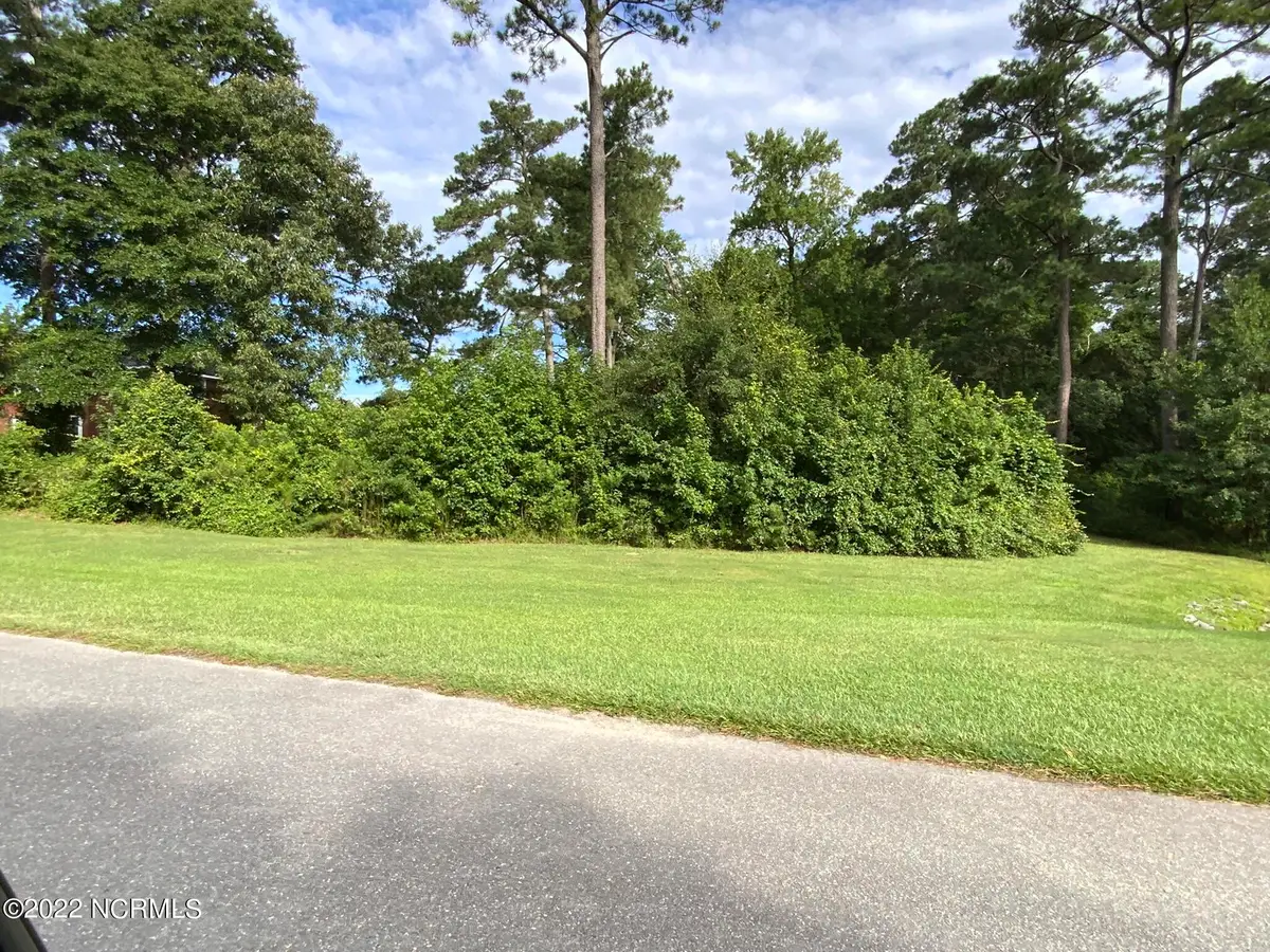 113 Breezewood Drive, Goldsboro, NC 27534 - #1