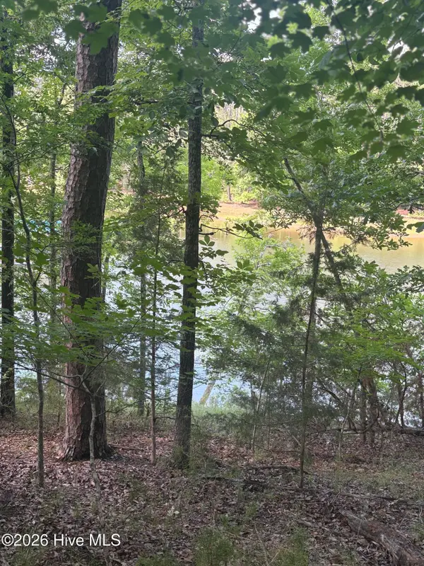 L5 Bl65 Overlook Point, McCormick, SC 29835