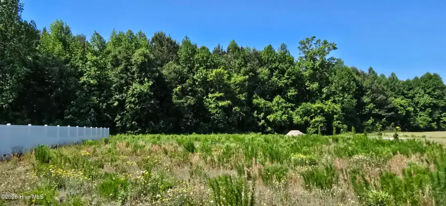 3030 Joe Stocks Road, Greenville, NC 27858 - #3