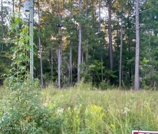 Tbd Burgaw Highway, Jacksonville, NC 28540 - #1