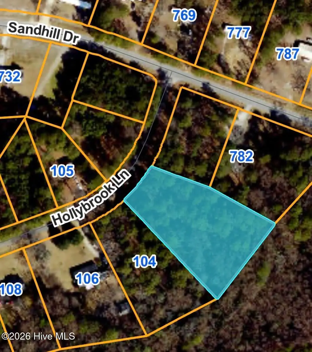 102 Hollybrook Lane, Dudley, NC 28333 - #1
