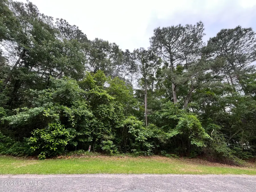 102 Hollybrook Lane, Dudley, NC 28333 - #2