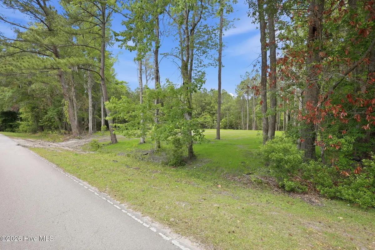 161 Trent Shores Drive, New Bern, NC 28562 - #1