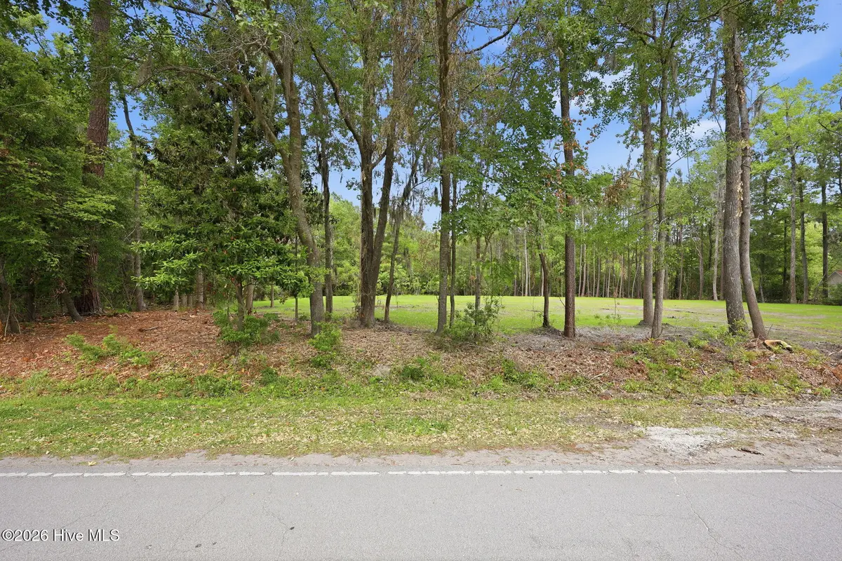 163 Trent Shores Drive, Trent Woods, NC 28562 - #1