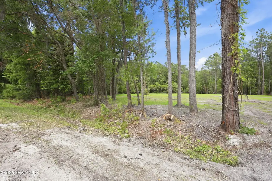 163 Trent Shores Drive, Trent Woods, NC 28562 - #2