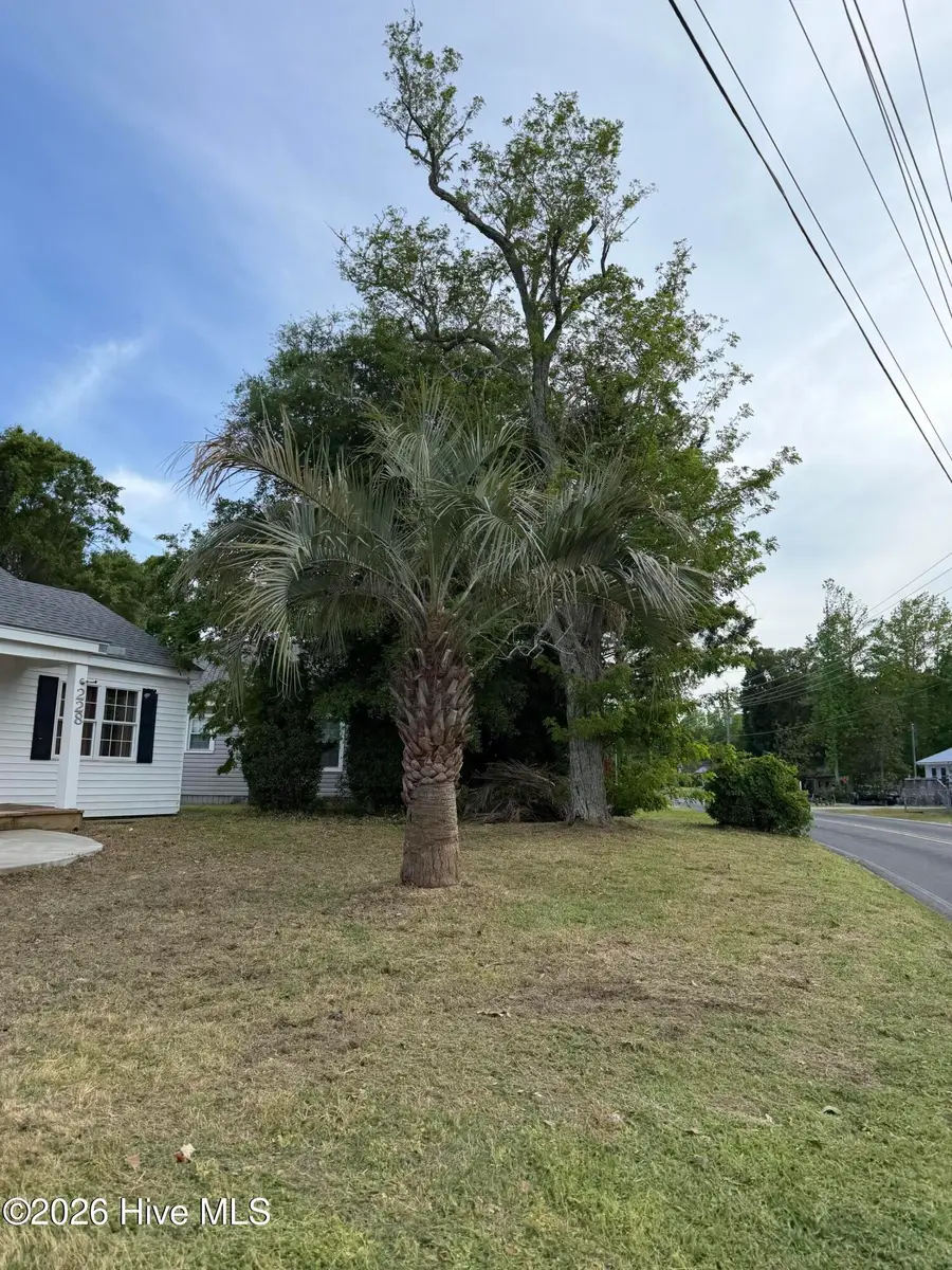 228 Fulcher Landing Road, Sneads Ferry, NC 28460 - #2