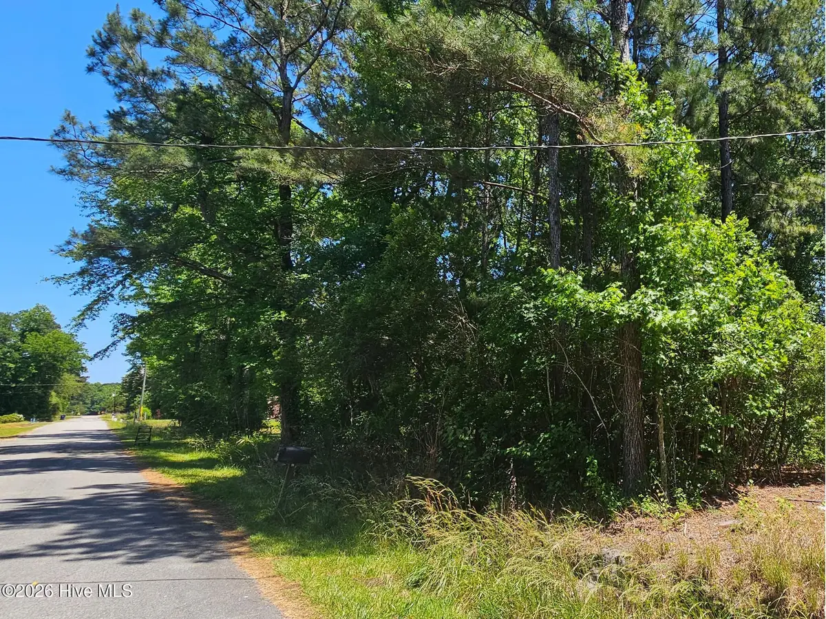 Lot 1 Lucas Avenue, Rocky Point, NC 28457 - #1